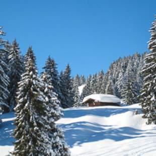 Winterromantik Berg-Advent in den Alpen