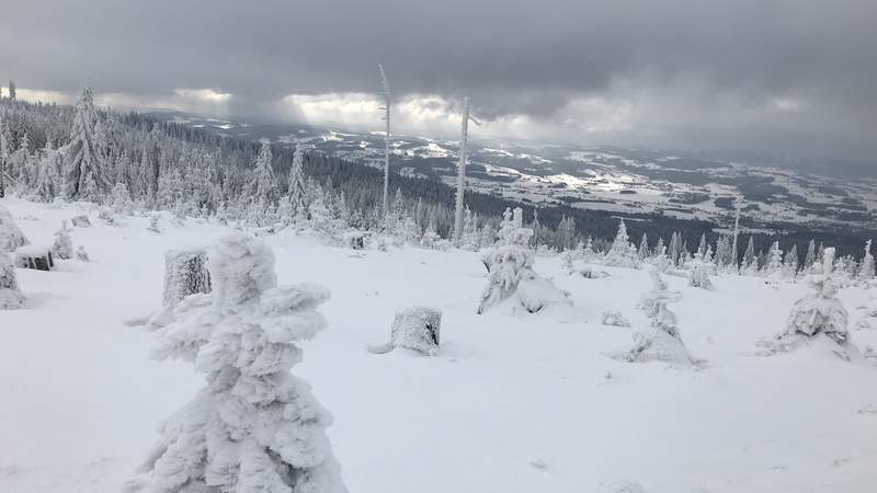 Zipflbob-Schneeschuhtour in Niederbayern