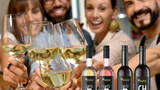 Weinprobe, Online, Winzer