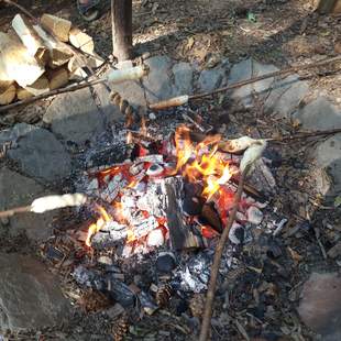 Grillevent im Abenteuercamp an der Mosel