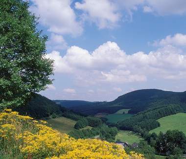 Sauerland Betriebsausflug