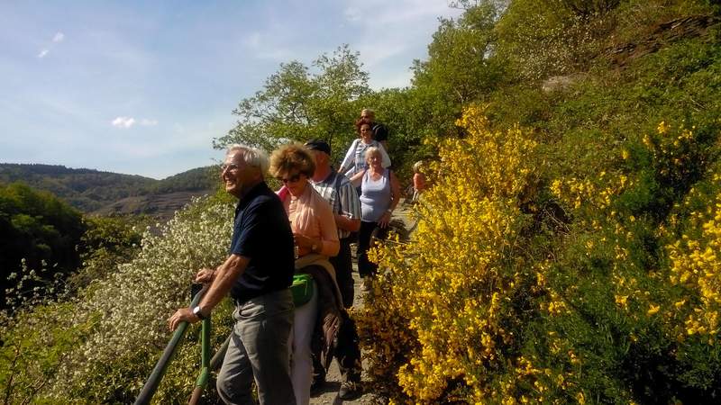 VinoVia WeinWanderreisen