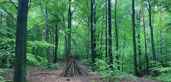 WaldBaden in der Dresdner Heide - Geocaching+