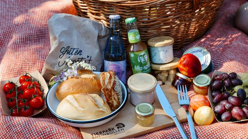 Grünes Abenteuer – Teamspiele & Picknick