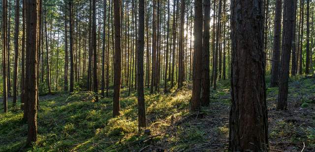 Betriebsausflug: Thüringer Wald