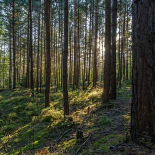 Betriebsausflug: Thüringer Wald