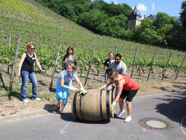 Weingut Weinberg Teambuilding Natur