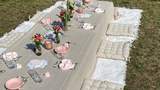 Perlenpicknick