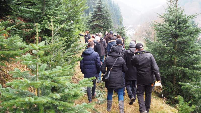 Weihnachtsbaumschlagen | „Tanne to go“