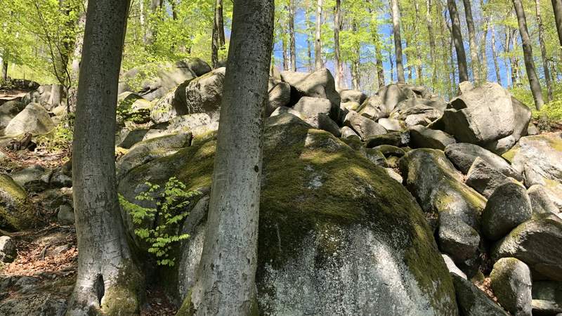 Felsenmeer Expedition im Odenwald