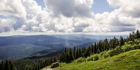 Bayerischer Wald Teambuilding