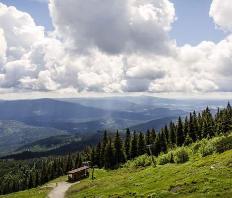 Bayerischer Wald Firmenevent