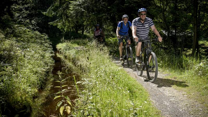 eBiking für Einsteiger