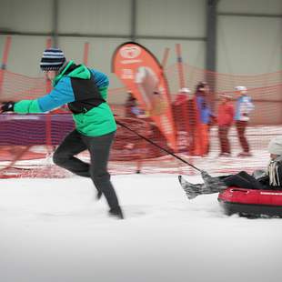 Hundeschlitten-Rennen Teamevent: Winterolympiade