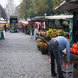 Marktbummel und saisonaler Kochkurs