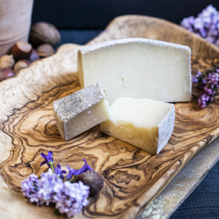 Käsetasting online
