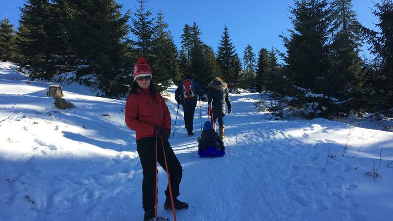 Zipflbob-Schneeschuhtour in Niederbayern