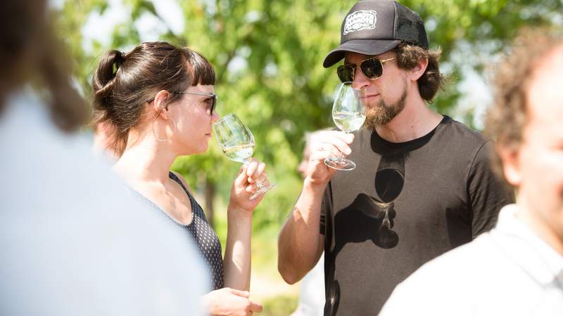 Wein-Safari mit Cabrio-Jeeps (pilotiert!)