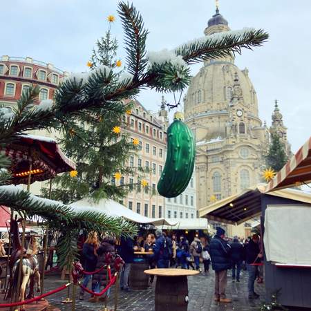 Auf der Jagd nach der Weihnachtsgurke