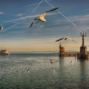 Hafeneinfahrt Kontanz am Bodensee