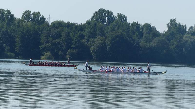 Drachenboot-Rennen