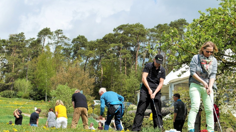 segway, segway-tour, golf