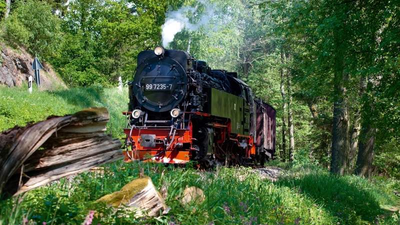 Teamspaß mit Schmalspurbahn in Wernigerode