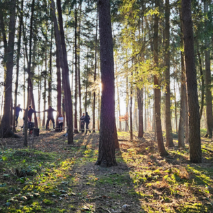 Gruppe von Menschen im Wald bei einer Teamübung – Zusammenarbeit, Vertrauen und Balance im Fokus