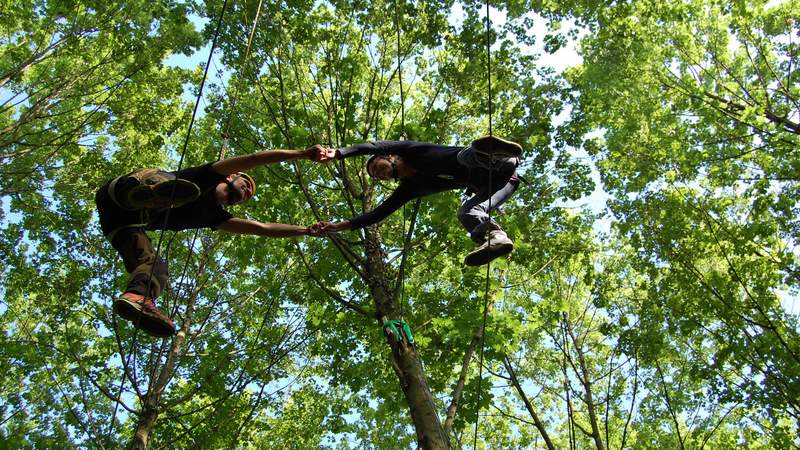 Teambuilding: Klettern im Hochseilgarten