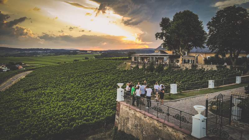 Rheingau - die Land Rover Weinbergtour