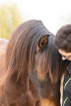 Gedankensprünge - Coaching mit Pferden