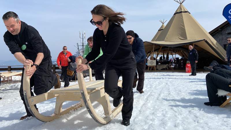 Hands-on Workshop - Hornschlitten bauen