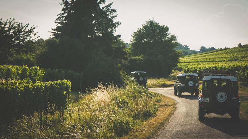 Rheingau - die Land Rover Weinbergtour