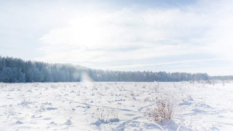 Ihr Teamevent: Winterreise in die Hainichhöfe