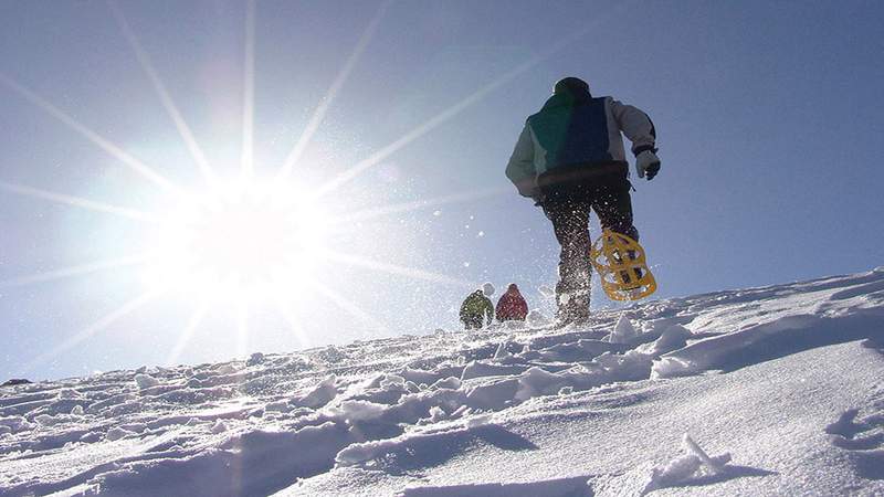 Schneeschuhwanderung im Allgäu