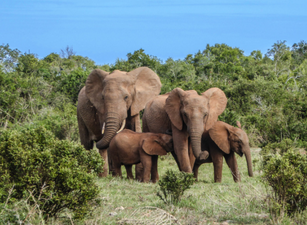 Sawubona – Willkommen in Südafrika