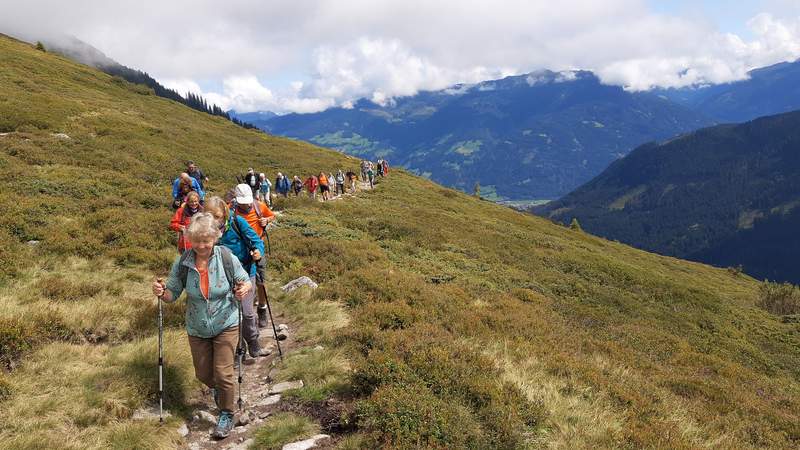 Kulinarischer Wildkräuterwandertag