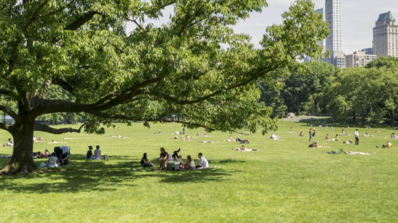 New York City Incentive - 5 Tage