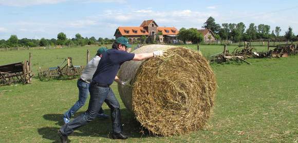 Bauernhof-Rallye – Teambuilding auf dem Lande