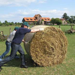 Bauernhof-Rallye – Teambuilding auf dem Lande