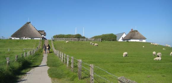 Hamburger Hallig - per Bahn zur Halbinsel