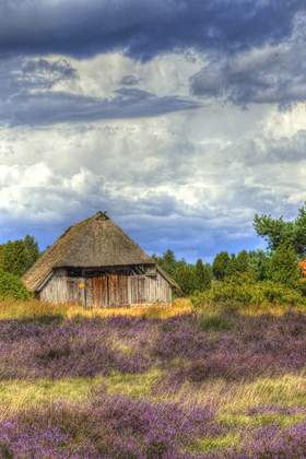 Gruppenreise in die Lüneburger Heide - Elbtalaue