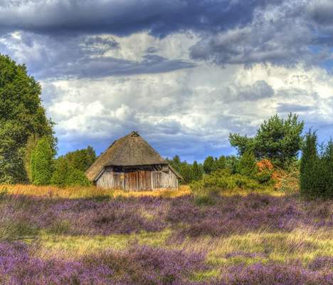 Lüneburger Heide - Elbtalaue Firmenevent