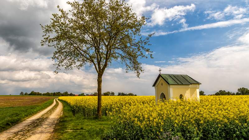 Genuss-Tour zu Erzeugern im Erdinger Land