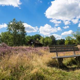 Betriebsausflug Lüneburger Heide