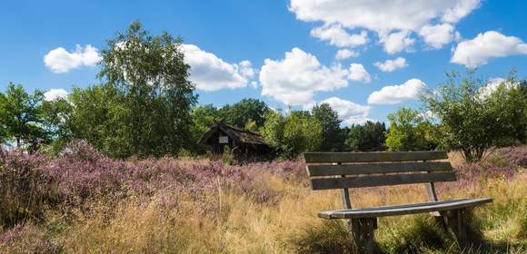 Betriebsausflug Lüneburger Heide