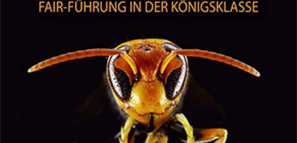 Führungskräfte-Einzel-Coaching