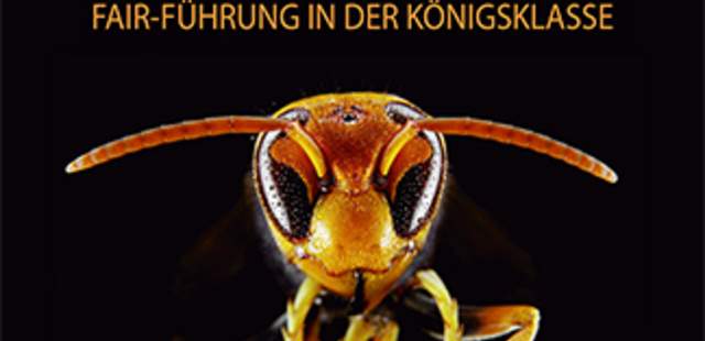 Führungskräfte-Einzel-Coaching