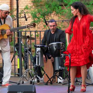 Flamenco Reborn – Trio live in concert Flamenco Reborn – Trio