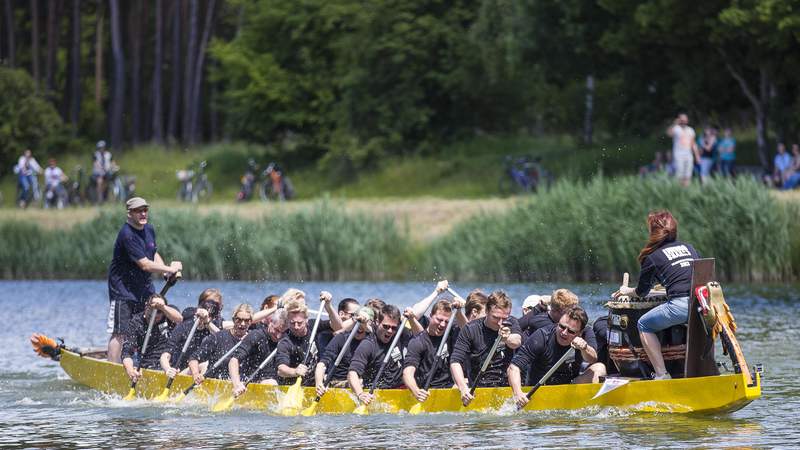 Drachenboot Teamevents & Firmenregatten